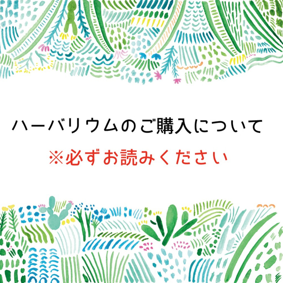 ハーバリウムのご購入について※必ずお読みください 1枚目の画像