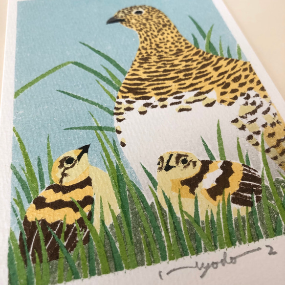 紙版画 ハガキサイズ 野鳥シリーズ ライチョウ 版画 兵頭裕彦