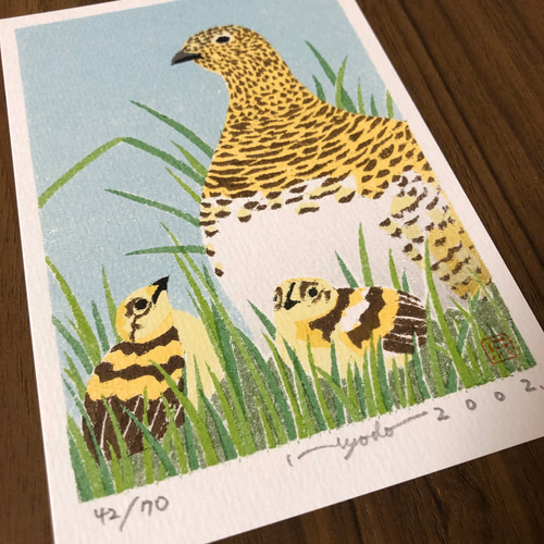 紙版画 ハガキサイズ 野鳥シリーズ ライチョウ 版画 兵頭裕彦
