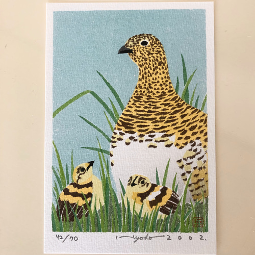 紙版画 ハガキサイズ 野鳥シリーズ ライチョウ 版画 兵頭裕彦 通販