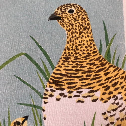 木版画『ハーベストシリーズ15点』 紙版画 ハガキサイズ 野鳥シリーズ ライチョウ 版画 兵頭裕彦 通販