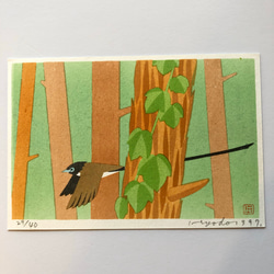 紙版画　野鳥シリーズ　ハガキサイズ　サンコウチョウ 2枚目の画像