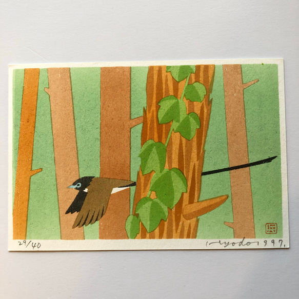 紙版画　野鳥シリーズ　ハガキサイズ　サンコウチョウ 2枚目の画像