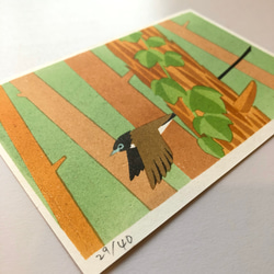 紙版画　野鳥シリーズ　ハガキサイズ　サンコウチョウ 3枚目の画像