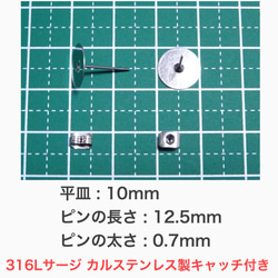 (10個 5ペア)　 316L サージカルステンレス 平皿10mm ピアス 2枚目の画像