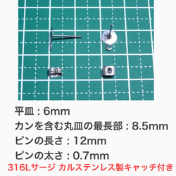 (10個 5ペア)　 316L サージカルステンレス カン付き 平皿6mm ピアス 2枚目の画像