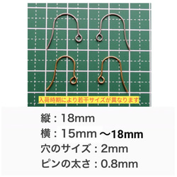 (20個 10ペア) 316L　サージカルステンレス フックピアス シルバー 2枚目の画像