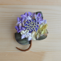 染花「額を飾る」　紫×キミドリ 1枚目の画像