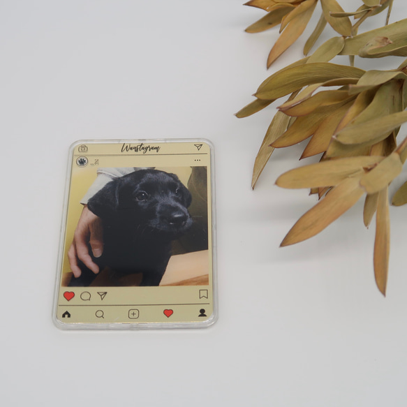 ◇card mirror◇ Wanstagram_犬【期間限定価格】 1枚目の画像