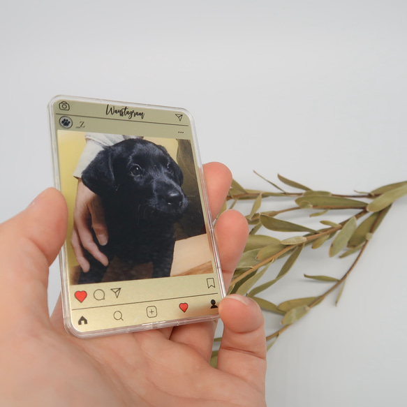 ◇card mirror◇ Wanstagram_犬【期間限定価格】 4枚目の画像