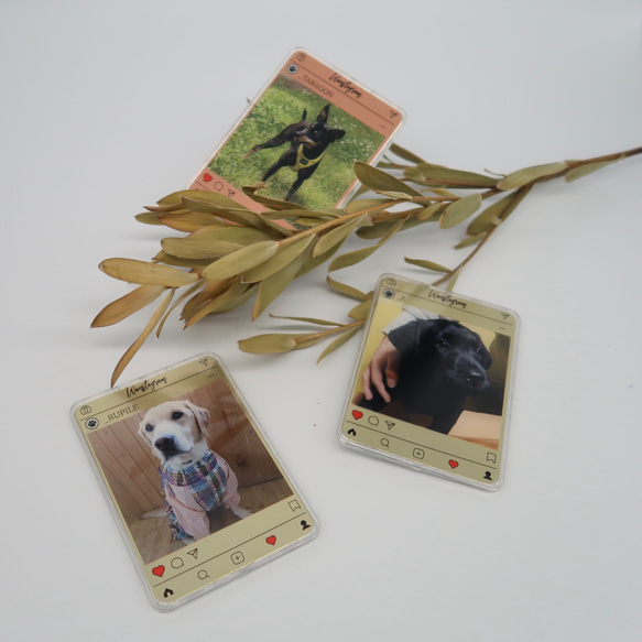 ◇card mirror◇ Wanstagram_犬【期間限定価格】 5枚目の画像