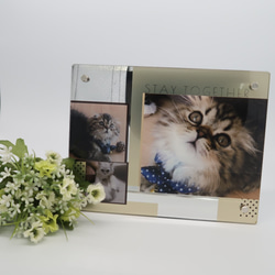 ◆silver borad◆　PET PHOTO BOARD-silver-【送料無料】 1枚目の画像