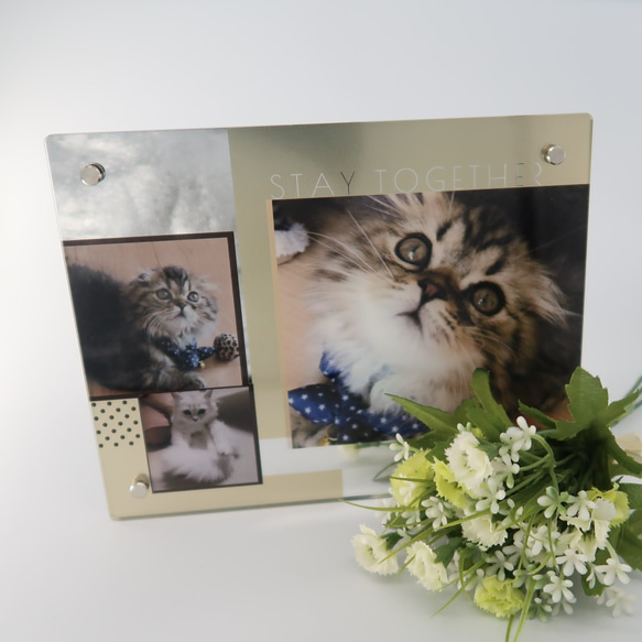 ◆silver borad◆　PET PHOTO BOARD-silver-【送料無料】 6枚目の画像