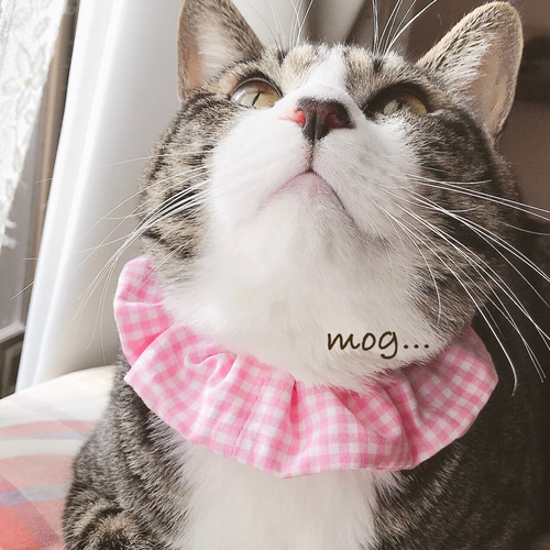 ピンクギンガムチェック猫シュシュ首輪 リード・首輪 mog 通販 ピンクギンガムチェック猫シュシュ首輪 リード・首輪 mog 通販