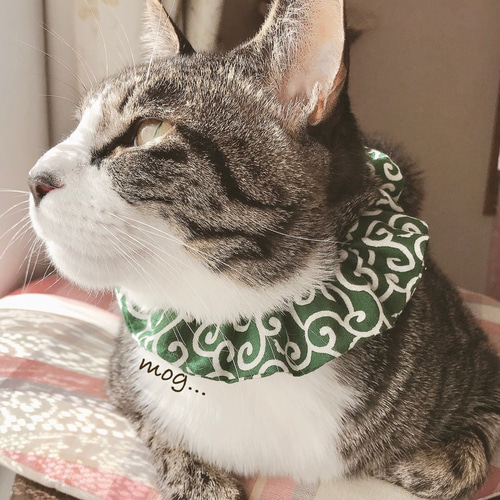 ほっこり緑の唐草模様猫シュシュ首輪 リード・首輪 mog 通販 11041876