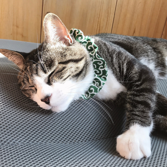 ほっこり緑の唐草模様猫シュシュ首輪 4枚目の画像