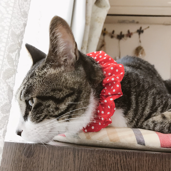 Cute♡赤ドット猫シュシュ首輪 3枚目の画像