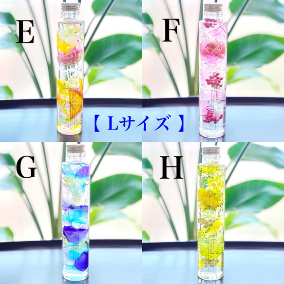 【2本セット】8種のTropical Juiceみたいなハーバリウム 3枚目の画像