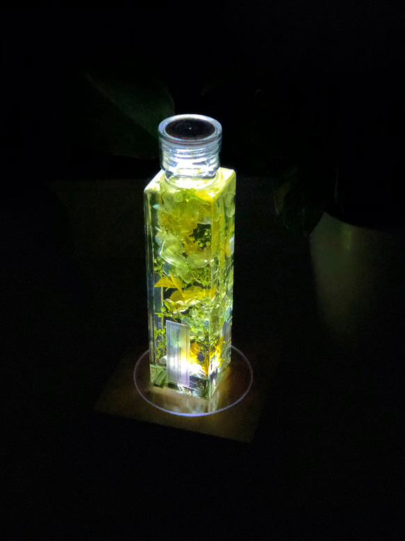 【Creema限定送料無料！癒しのグリーン】アロマの香りと植物の光のインテリア(3点セット) 7枚目の画像