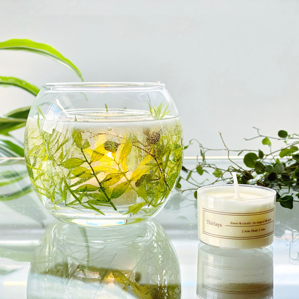 2点セット】観葉植物キャンドルホルダーと香り選べるアロマ 2点セット】観葉植物キャンドルホルダーと香り選べるアロマ