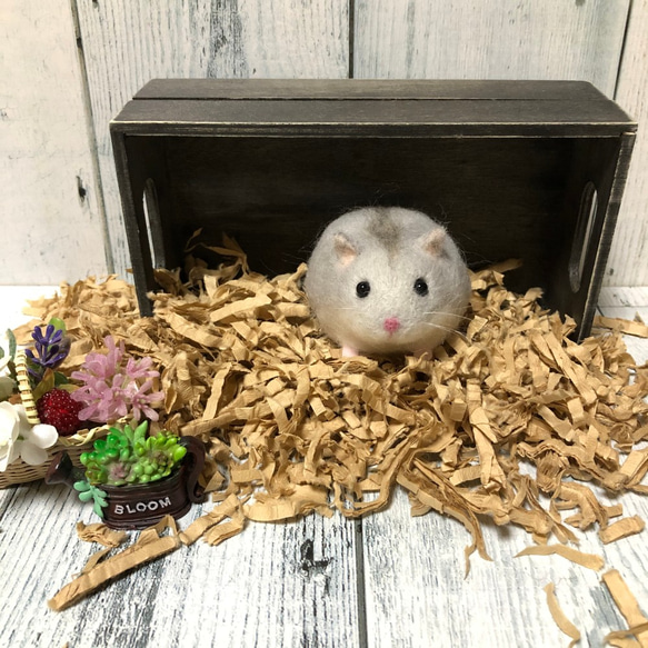 ブルーサファイアハムスター* (ジャンガリアン) 羊毛フェルト