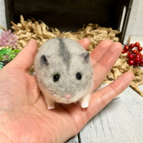 hana'sham**おやつ付**ブルーサファイア＊ハムスター＊羊毛