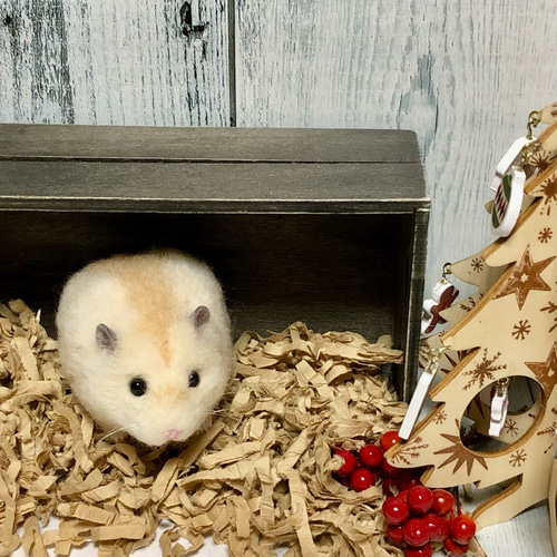 プディング ハムスター* (イエロージャンガリアン) 羊毛フェルト