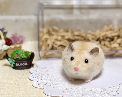 0_2ff6d1c75a4bf9a983d506af3f1a