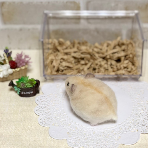 ①*プディング ハムスター* (イエロージャンガリアン) 羊毛フェルト