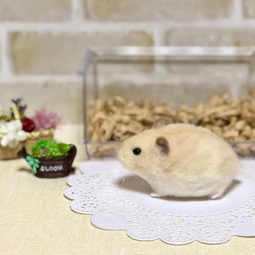 ①*プディング ハムスター* (イエロージャンガリアン) 羊毛