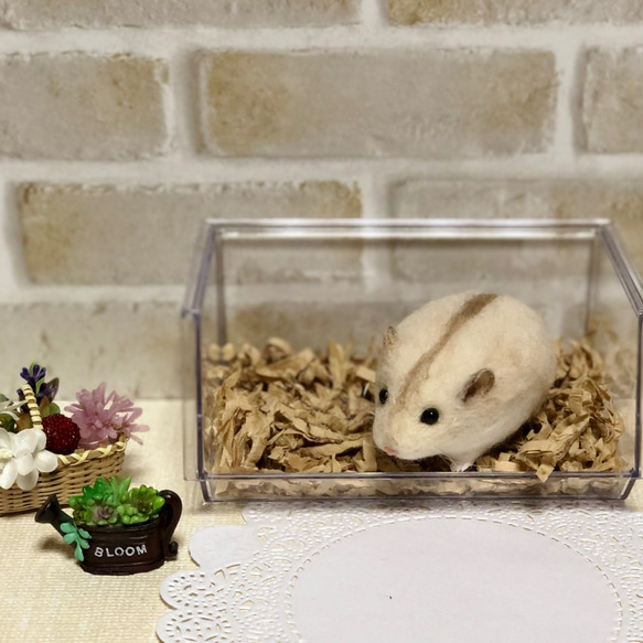 371 ファイティングポーズ ハムスター◇羊毛フェルト 羊毛フェルトの