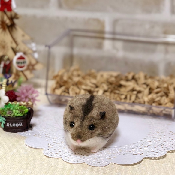 ノーマルカラー ジャンガリアン ハムスター* 羊毛フェルト 羊毛