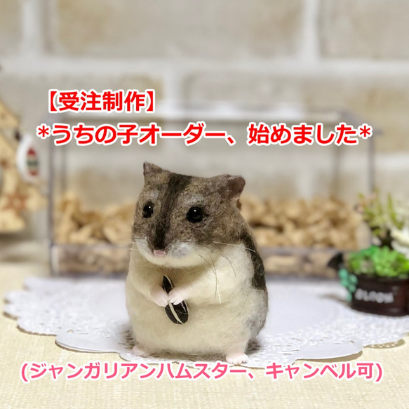 うちの子オーダー【受注制作】ジャンガリアンハムスター(お座り