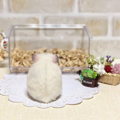 羊毛フェルト ペタンコ ハムハムorderページ 羊毛フェルト