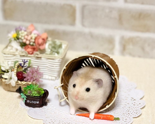 0_18cfe4af6f6847dcb2dfd1362438