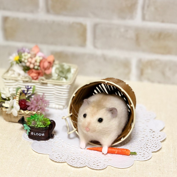N　（羊毛フェルト　ハムスター） ハムスターキット | ちまちま羊毛フェルト（キット）