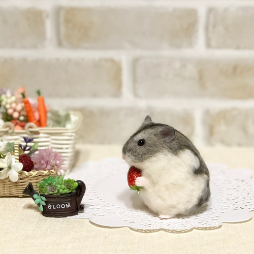 ②ジャンガリアンハムスター＆イチゴ◇羊毛フェルト イチゴもぐもぐ* ノーマルカラー ジャンガリアンハムスター