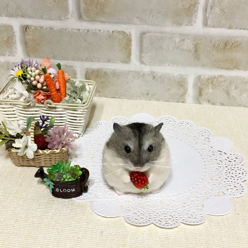 ②ジャンガリアンハムスター＆イチゴ◇羊毛フェルト イチゴもぐもぐ* ノーマルカラー ジャンガリアンハムスター