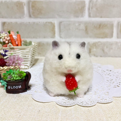 ②ジャンガリアンハムスター＆イチゴ◇羊毛フェルト ②ジャンガリアンハムスター＆イチゴ◇羊毛フェルト 桜と