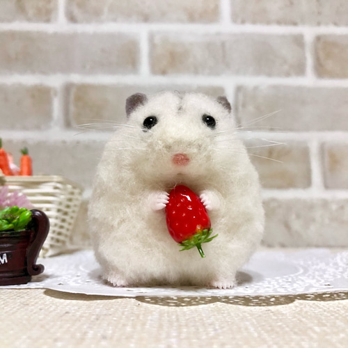 イチゴもぐもぐ* 大福みたいなパールホワイト ジャンガリアン