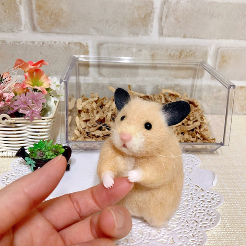 キンクマハムスター＆かき氷◇羊毛フェルト キンクマハムスターの公星くんに 新しい仲間増えたよ