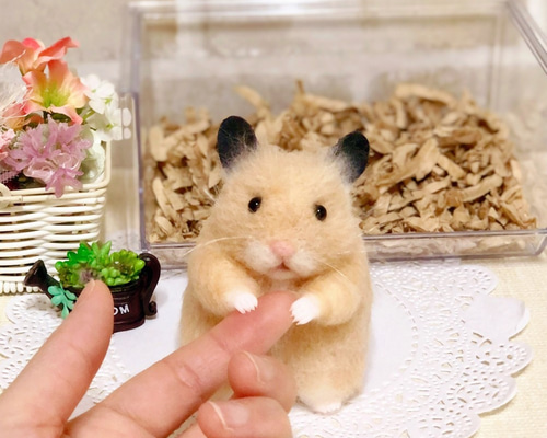 0_60dee6b788d43bd0963ec2c50635