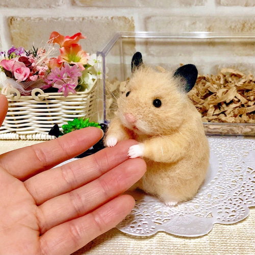 ハムスターのお尻ばかりを集めた写真集『かわいさに悶絶