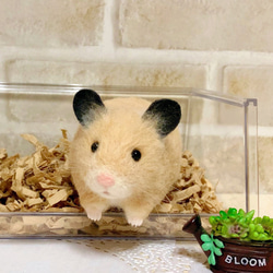 握手して♪*キンクマハムスター* 羊毛フェルト マスコット 羊毛