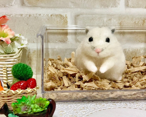 はむタマ座布団♪お座りキンクマハムスター *羊毛フェルト* 羊毛