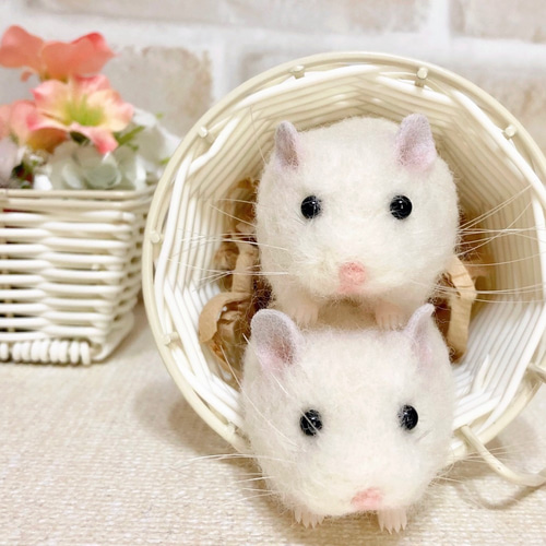 2匹セット】ピュアホワイト *ロボロフスキーハムスター* 羊毛