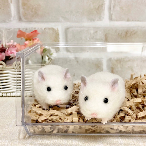 2匹セット】ピュアホワイト *ロボロフスキーハムスター* 羊毛