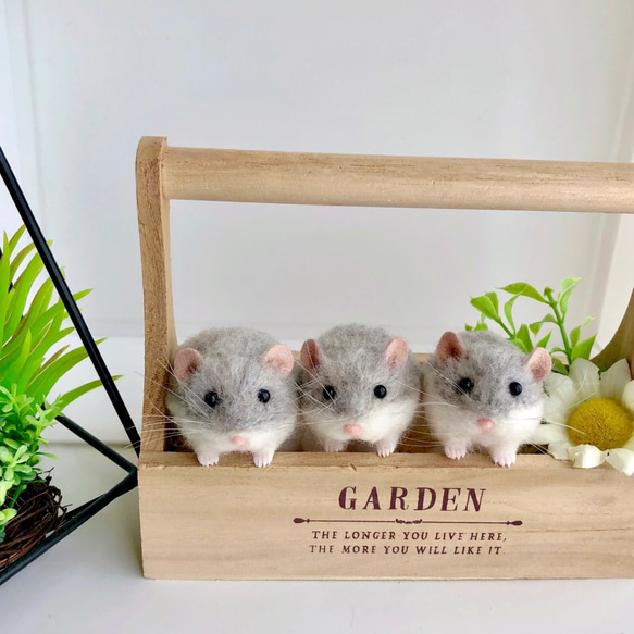 ロボロフスキーハムスター* 【3匹セット】シナモンブルー 羊毛フェルト