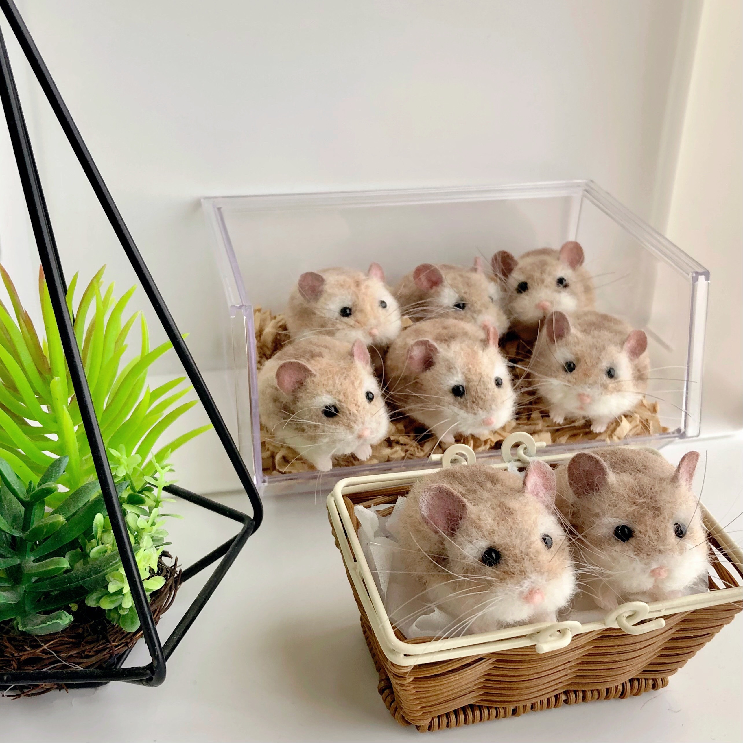 経典 ロボロフスキー 羊毛フェルト ハムちゃん 現品販売 羊毛フェルト