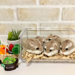 ♥️羊毛フェルト♥️ハムスターちゃん×4♪ ちーたんに会いたくて羊毛フェルトになったハムちゃん | 羊毛